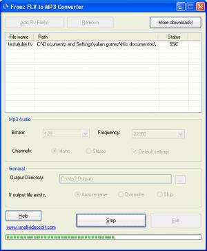 Free FLV Converter